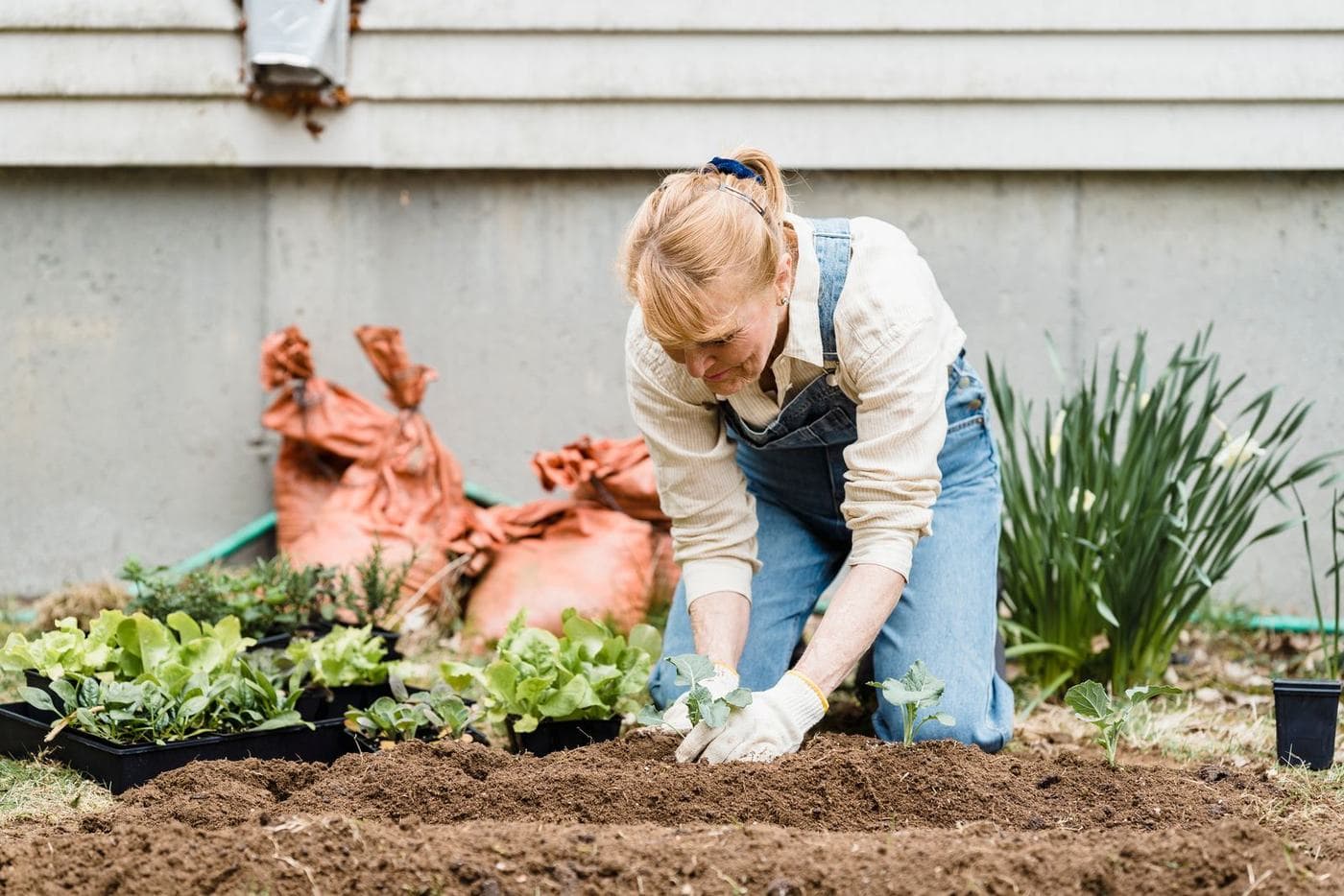A woman kneels in a garden bed and looks down at a seedling she is planting.